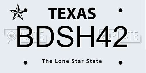 BDSH42 Texas License Plate