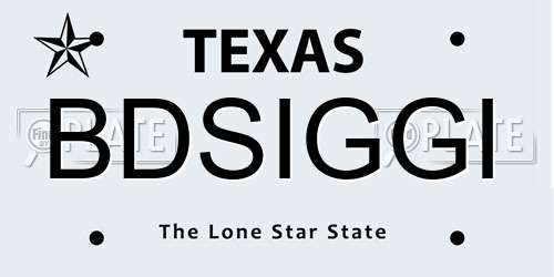 BDSIGGI Texas License Plate
