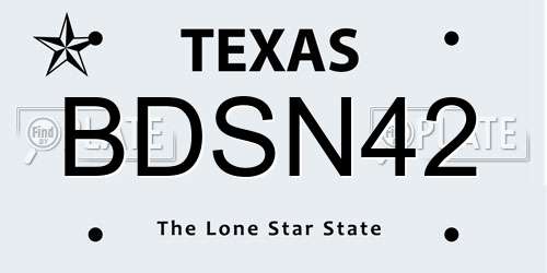 BDSN42 Texas License Plate