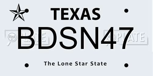BDSN47 Texas License Plate