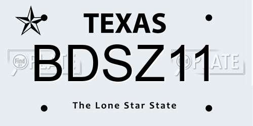 BDSZ11 Texas License Plate