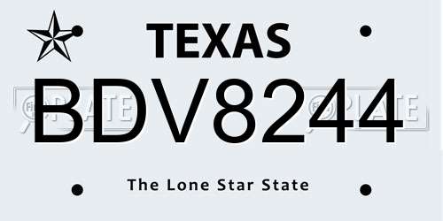 BDV8244 Texas License Plate