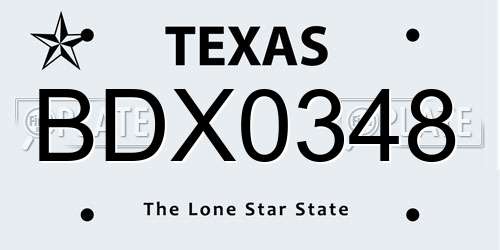 BDX0348 Texas License Plate