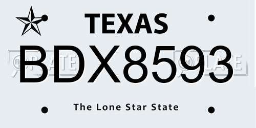 BDX8593 Texas License Plate
