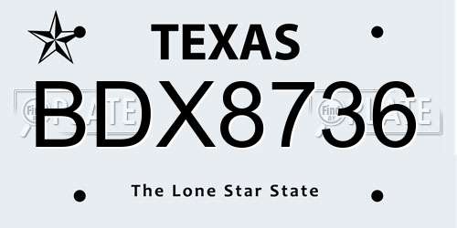 BDX8736 Texas License Plate