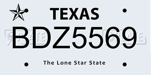 BDZ5569 Texas License Plate