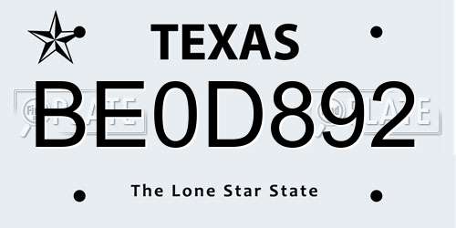 BE0D892 Texas License Plate