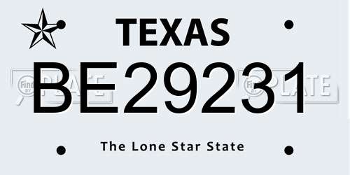 BE29231 Texas License Plate