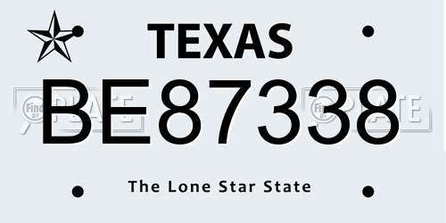 BE87338 Texas License Plate