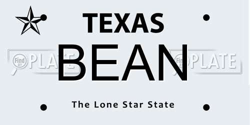 BEAN Texas License Plate