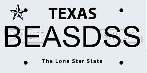 BEASDSS Texas License Plate