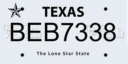 BEB7338 Texas License Plate
