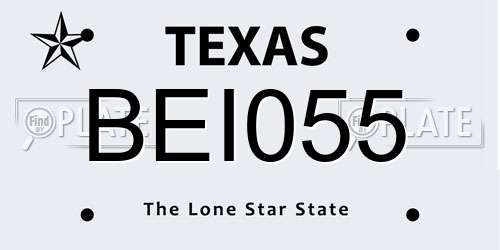 BEI055 Texas License Plate