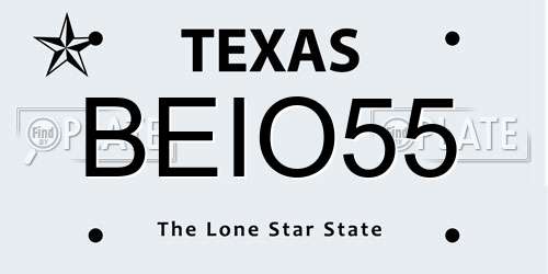 BEIO55 Texas License Plate