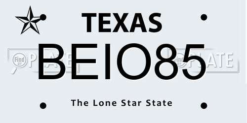BEIO85 Texas License Plate