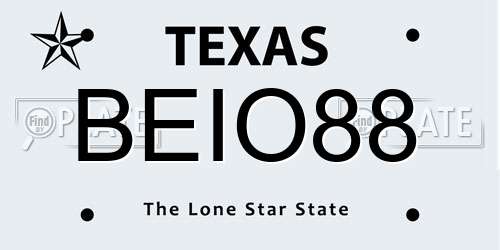 BEIO88 Texas License Plate