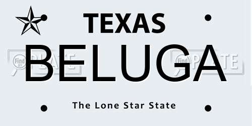 BELUGA Texas License Plate