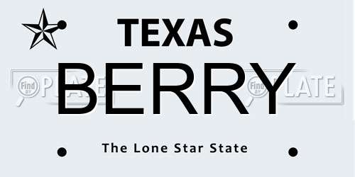 BERRY Texas License Plate