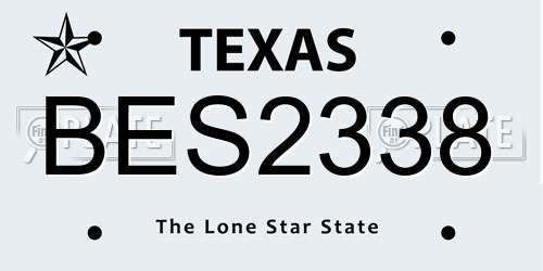 BES2338 Texas License Plate