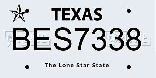 BES7338 Texas License Plate