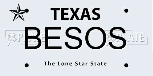 BESOS Texas License Plate