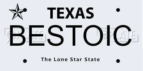 BESTOIC Texas License Plate