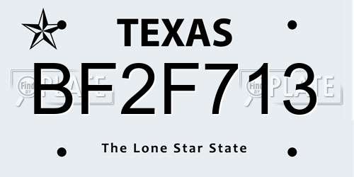 BF2F713 Texas License Plate