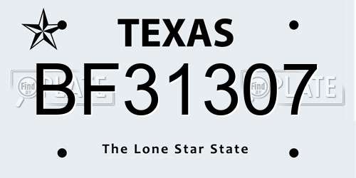 BF31307 Texas License Plate