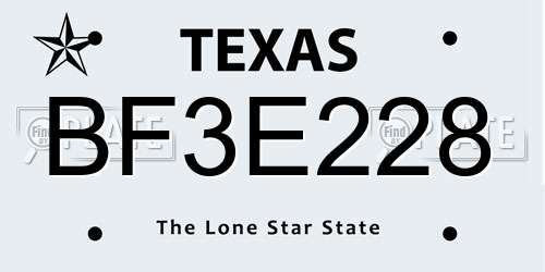 BF3E228 Texas License Plate