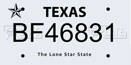 BF46831 Texas License Plate
