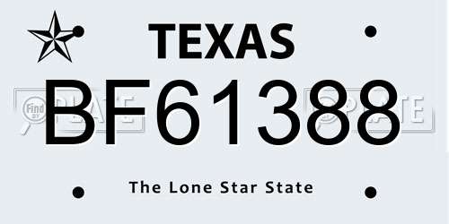 BF61388 Texas License Plate