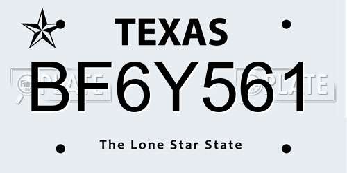 BF6Y561 Texas License Plate