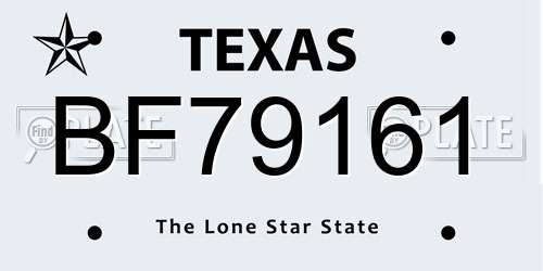 BF79161 Texas License Plate