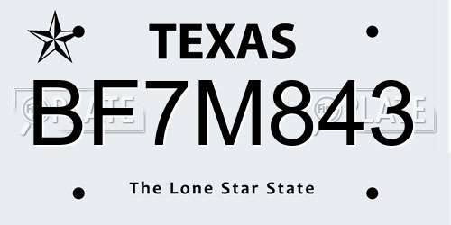 BF7M843 Texas License Plate