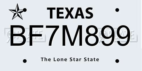 BF7M899 Texas License Plate