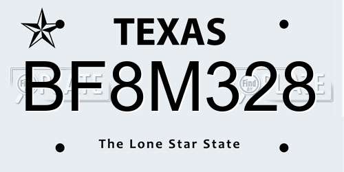 BF8M328 Texas License Plate