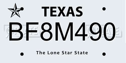BF8M490 Texas License Plate