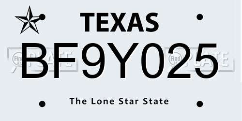 BF9Y025 Texas License Plate