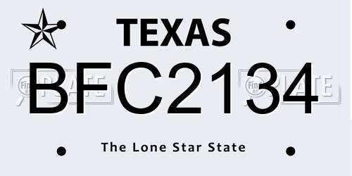BFC2134 Texas License Plate