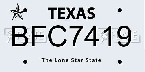 BFC7419 Texas License Plate