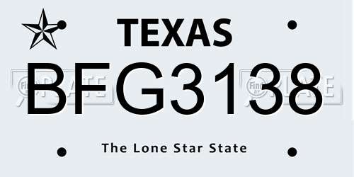 BFG3138 Texas License Plate