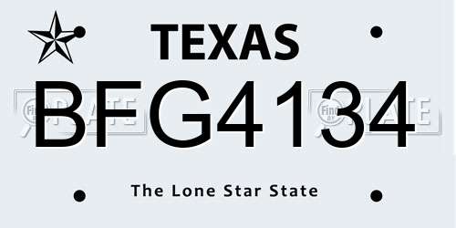 BFG4134 Texas License Plate