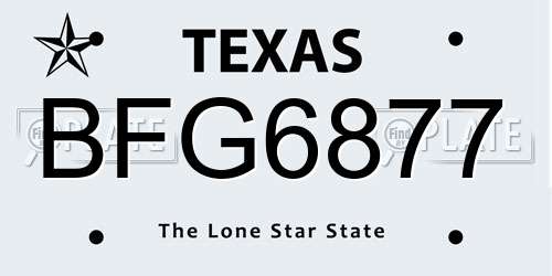 BFG6877 Texas License Plate
