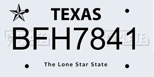 BFH7841 Texas License Plate
