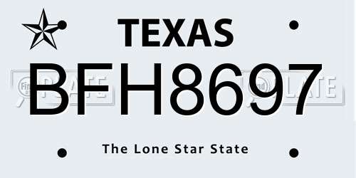 BFH8697 Texas License Plate