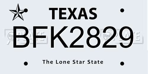 BFK2829 Texas License Plate
