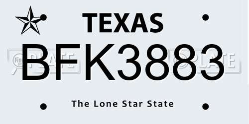 BFK3883 Texas License Plate