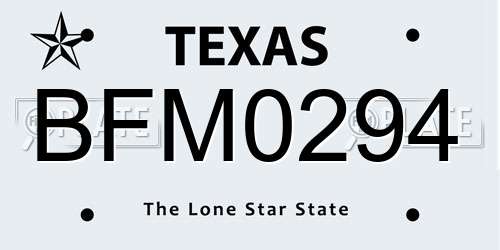 BFM0294 Texas License Plate