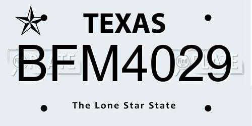 BFM4029 Texas License Plate