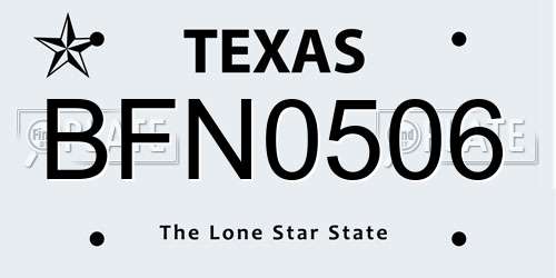 BFN0506 Texas License Plate